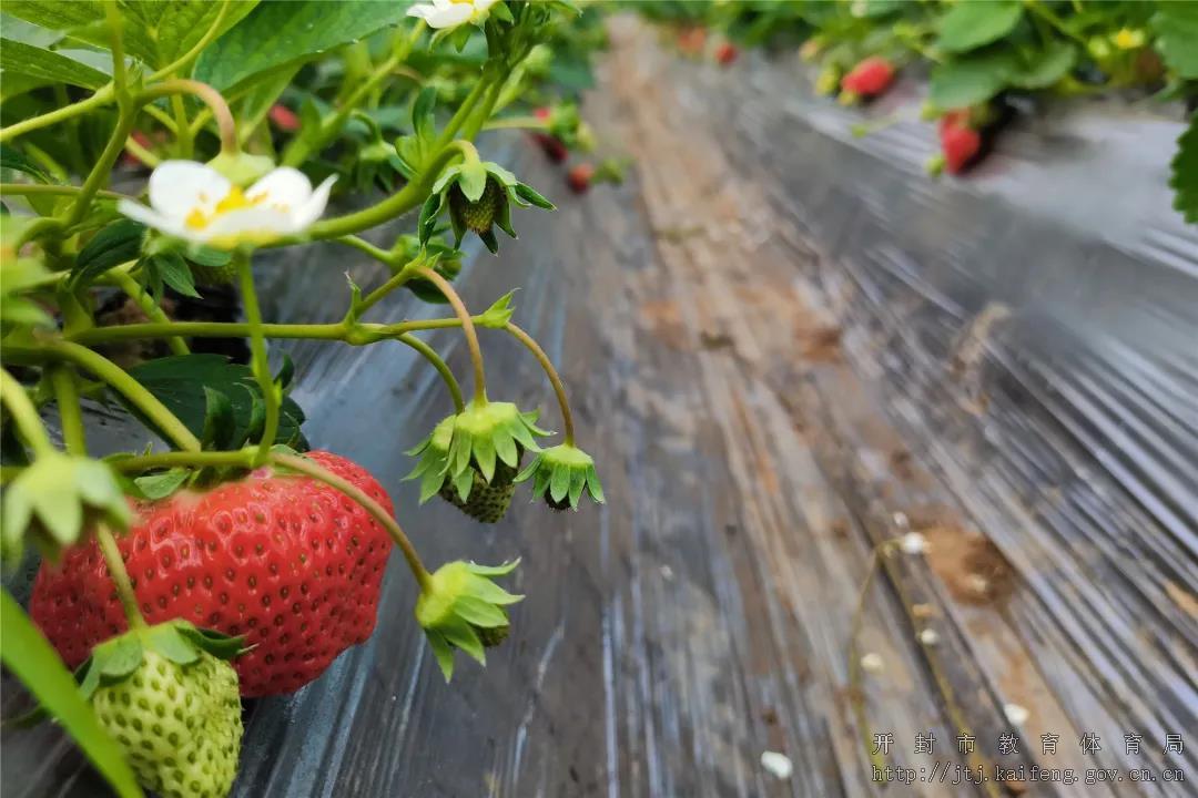 微信图片_20220114165250.jpg 微信图片_20220114165250.jpg